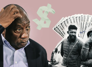 ‘I’ll ruin your life’ — State witness alleges threat by investigator in Phala Phala case