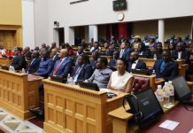 Namibian MPs call for review of former presidents’ retirement perks and wealth