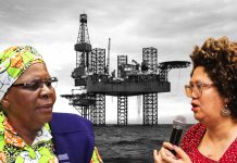 President Nandi-Ndaitwah family oil interest allegations spark transparency row and State House media scuffle
