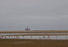 Uncharted waters: Inside the political battle for control of the Orange Basin oil and gas resource