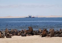 Namibia’s oil rush: Who benefits most and who is in charge?