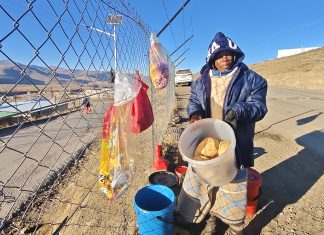 Salmonella at one of Southern Africa’s largest infrastructure projects